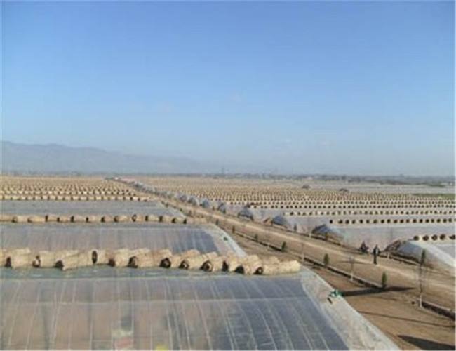 拉伸膜是如何應用于農業(yè)生產中的?